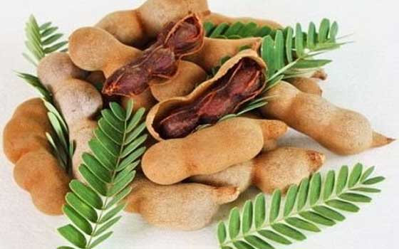   مصر اليوم - طريقة تحضير سلطة الحمر