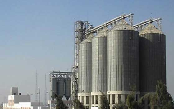   مصر اليوم - الإمارات تمول انشاء صومعتين لتخزين القمح في مصر
