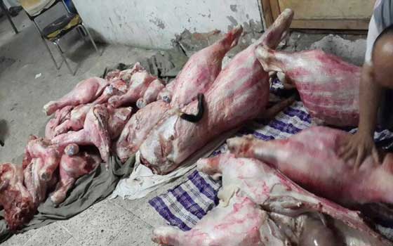   مصر اليوم - توقيف 3 جزارين لقيامهما ببيع اللحوم بأختام مزورة في الإسكندريّة