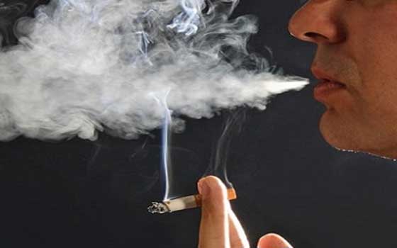 مصر اليوم - عقوبات ماليّة على المدخنين في أبنية الشؤون الاجتماعيّة في السويس