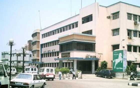   مصر اليوم - إحالة 4 طلاب بالثانوية العامة للتحقيق في الشرقية