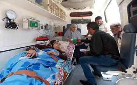   مصر اليوم - إرتفاع حالات الإصابة بالملاريا فى أسوان إلى 19 حالة