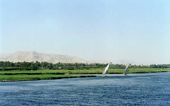   مصر اليوم - أستاذ قانون دوليّ يؤكّد أن السيسي سيستغلّ علاقاته لحماية النيل