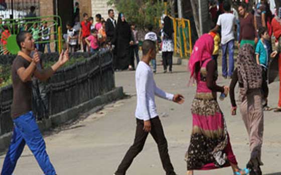 مصر اليوم - حبس متحرش 6 أشهر وغرامة 5 آلاف جنيه في المنيا