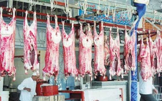 مصر اليوم - محافظ بني سويف يتفقد شوادر بيع اللحوم البلدية