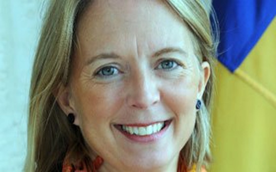   مصر اليوم - سفيرة السويد بالقاهرة : تنصيب السيسي رئيسًا لمصر يفتح صفحة جديدة