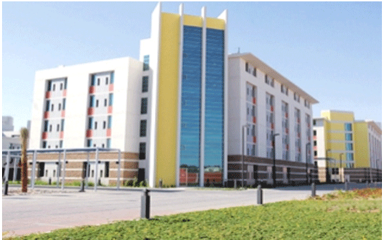   مصر اليوم - الإمارات تضم حوالي 12 ألف كتاب جديد إلى مكتبتها الإلكترونية