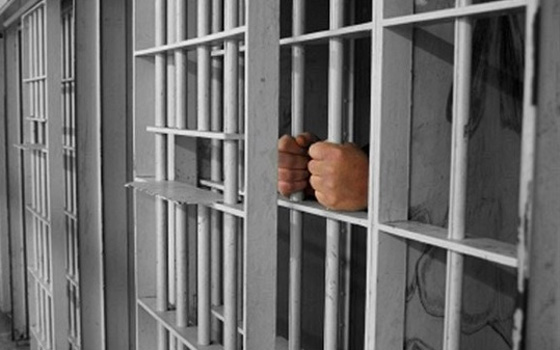   مصر اليوم - سجن أمريكي عامين ونصف لإدانته بتهريب العاج من أفريقيا