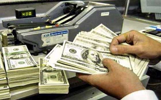   مصر اليوم - سعر الدولار يتراجع 20 قرشًا في السوق السوداء