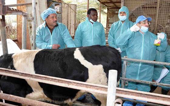   مصر اليوم -  مصر الخير تعرض تجربتها بالمعرض الدولي السادس عشر للإنتاج الحيواني