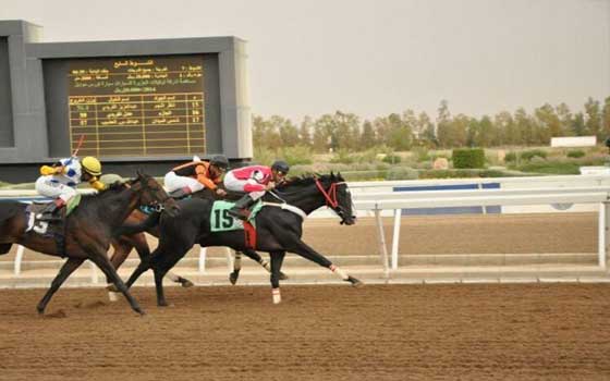   مصر اليوم - نادي الفروسية السعودي يقيم حفل سباقه الحادي عشر
