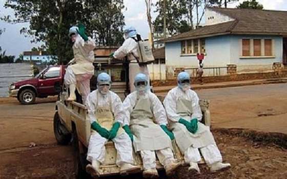   مصر اليوم - منظمة الصحة تبين أن فيروس ايبولا القاتل يهدد أفريقيا