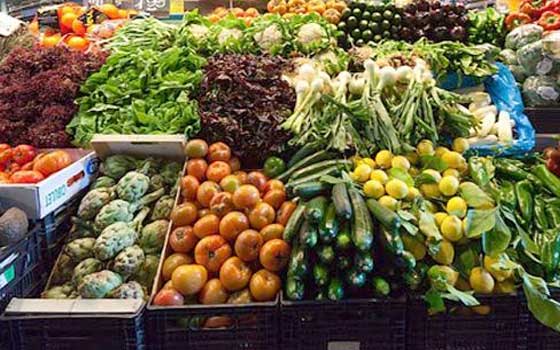   مصر اليوم - 410 مليون دولار صادرات الإسماعيليَّة من الخضر والفاكهة والمحاصيل الحقليَّة