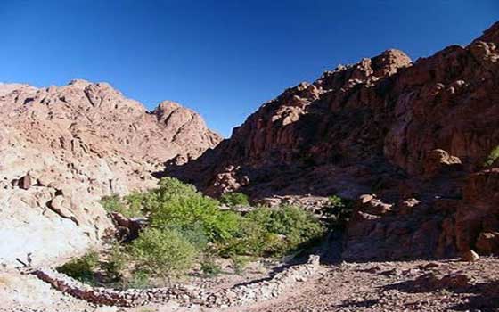   مصر اليوم - خبير آثار ينفي إدعاءات بأن جبل سرابيت الخادم هو جبل موسى