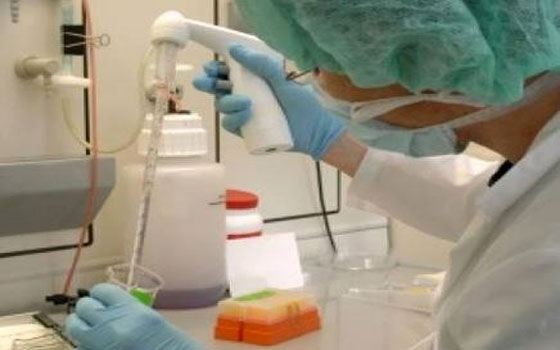   مصر اليوم - دواء لعلاج الأورام السرطانية يصل مباشرة إلى الخلايا المصابة