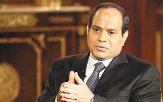   مصر اليوم - الجالية المصرية بالنمسا تحتفل بإعلان فوز السيسى بالرئاسة