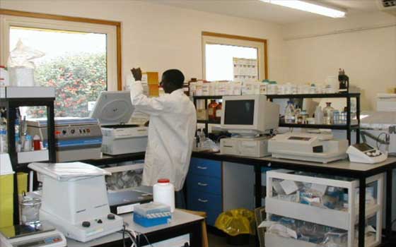   مصر اليوم - انعقاد اعمال المؤتمر الدولي للجمعية الأفريقية للطب المخبري نهاية العام