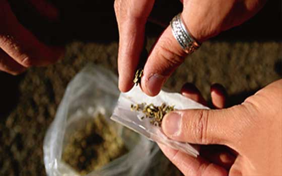   مصر اليوم - دعوي سميراء السعودي يوعي بأخطار التفحيط والمخدرات