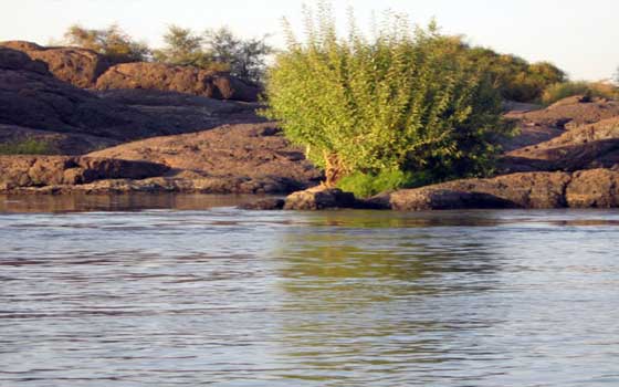   مصر اليوم - حملة شعبية في سيناء من أجل إنقاذ مياه النيل