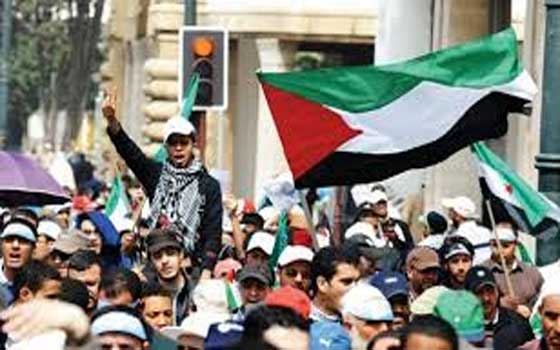 مصر اليوم - مسيرات في 42 دولة حول العالم تضامنًا مع القدس