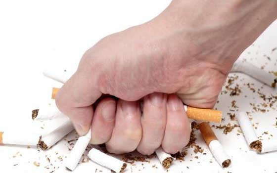   مصر اليوم - الباحة السعودية تشارك في الاحتفاء بـ اليوم العالمي لمكافحة التدخين