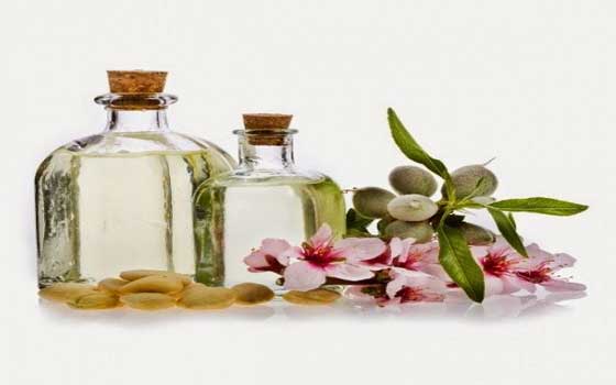   مصر اليوم - اعتني ببشرتك الجافة بخلطات من الزيوت الطبيعية