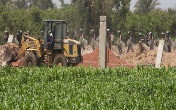 مصر اليوم - إزالة 29 حالة تعد على الرقعة الزراعية في الدقهلية