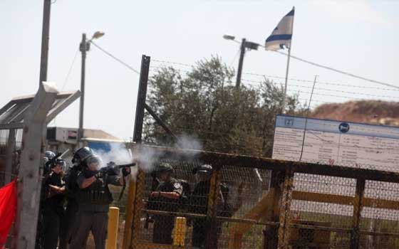   مصر اليوم - الإحتلال يقمع مسيرة تضامنية مع الأسرى في القدس