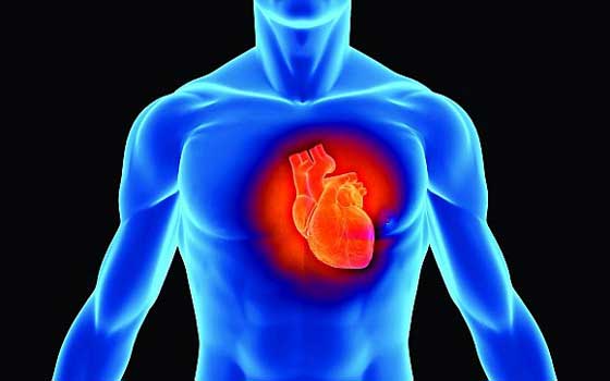   مصر اليوم - الصيام لساعات طويلة ينشط الجهاز المناعي