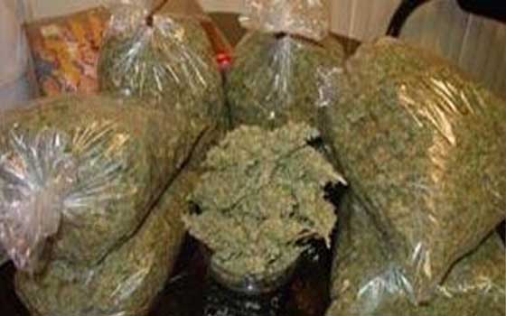   مصر اليوم - توقيّف شخصيّن  يُروجان المواد المخدّرة في سوهاج