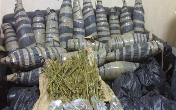   مصر اليوم - ضبط نصف طن من البانجو داخل مخزن سري بسيارة نقل في بورسعيد