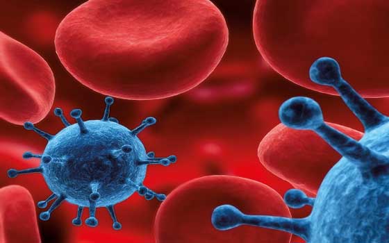   مصر اليوم - خلايا الجهاز المناعي أحدث علاج لأمراض السَّرطان