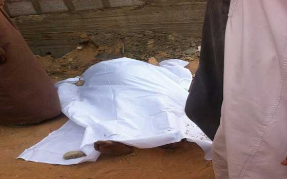   مصر اليوم - وفاة عامل سقط من أعلى شجرة أثناء تقليمها في سوهاج‎