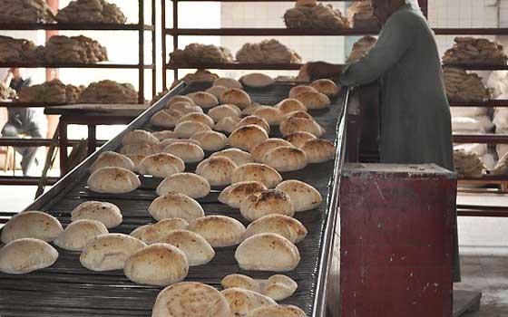   مصر اليوم - مليون و833 ألف جنيه لأهالي السويس فائض منظومة الخبز في مايو