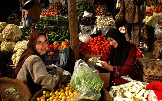   مصر اليوم - انطلاقُ المؤتمر الدُولي لمناقشة تحسيّن النظام الغذائي العالمي في روما قريبًا