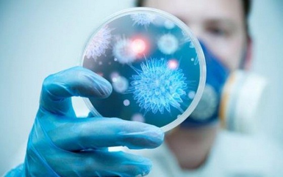   مصر اليوم - وفيات فيروس كورونا ترتفع إلى 287 شخصاً في السعودية