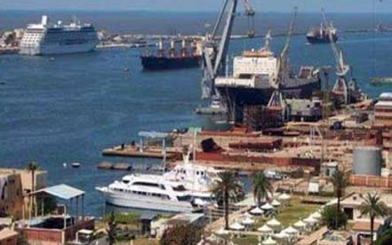   مصر اليوم - وصول 20 ألف رأس ماشية إلى اﻹسكندرية ضمن المنحة الإماراتية لمصر