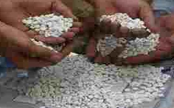 مصر اليوم - توقيف سيدة في الغردقة تُتاجر في المواد المخدّرة