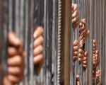   مصر اليوم - مؤسّسة ماعت تشكِّل لجنة لدعم أسر السُّجناء والمحتجَزين في المعصرة
