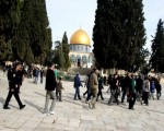   مصر اليوم - مستوطنون يهود يقتحمون باحات المسجد الأقصى