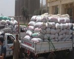   مصر اليوم - توريد 292 ألفًا و365 طن قمح إلى مطاحن محافظة البحيرة