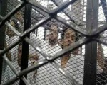 مصر اليوم - مسيحيّان يواجهان حكم الإعدام ضمن المُنتمين لـالإخوان في المنيا