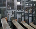   مصر اليوم - إحالة أوراق 12 متهمًا بقتل اللواء نبيل فرّاج للمفتي
