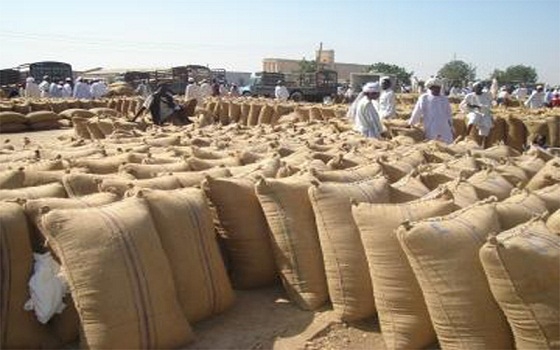   مصر اليوم - الجزيرة للتمويل ترصد مبلغ مليون و36 ألف دولار لتمويل محصولات السودان