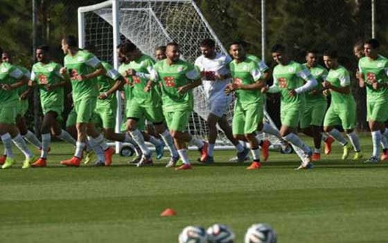   مصر اليوم - منتخب الجزائر يتوجه إلى بيلو هوريزونتي للقاء بلجيكا