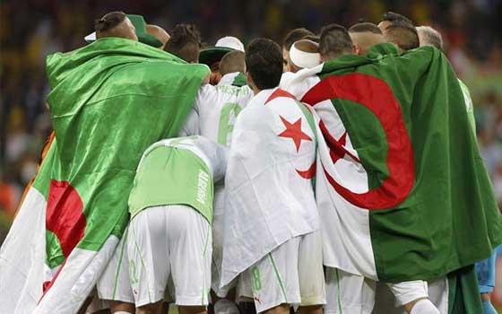   مصر اليوم - الصحف المصرية والمواقع الإلكترونية الرياضية تتغنى بإنجاز الجزائر في كأس العالم في البرازيل عرب