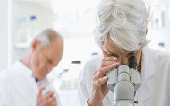   مصر اليوم - تعرض 75 من علماء الحكومة لبكتيريا الجمرة الخبيثة الحية