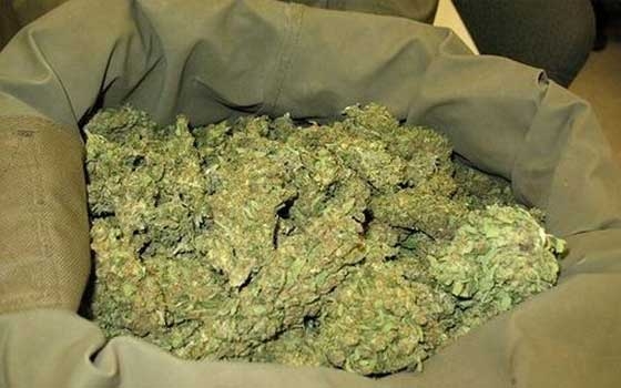   مصر اليوم - ضبط كميات كبيرة من المواد المخدرة في لبنان