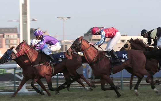   مصر اليوم - إنطلاق الجولة الـ6 من سباقات جائزة رئيس الإمارات للخيول