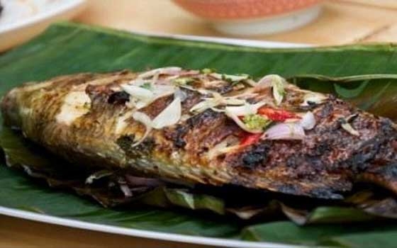   مصر اليوم - تحضير السمك البلطي بالفرن